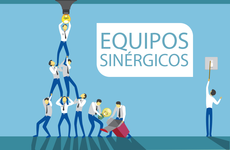 EQUIPOS SINERGICOS | 9 Modulos